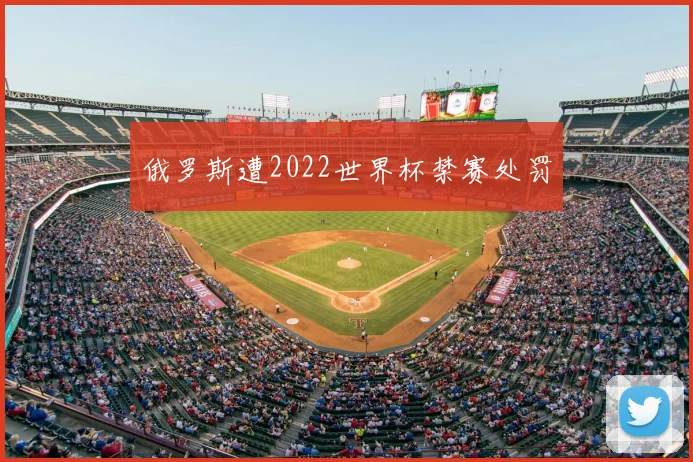 俄罗斯遭2022世界杯禁赛处罚