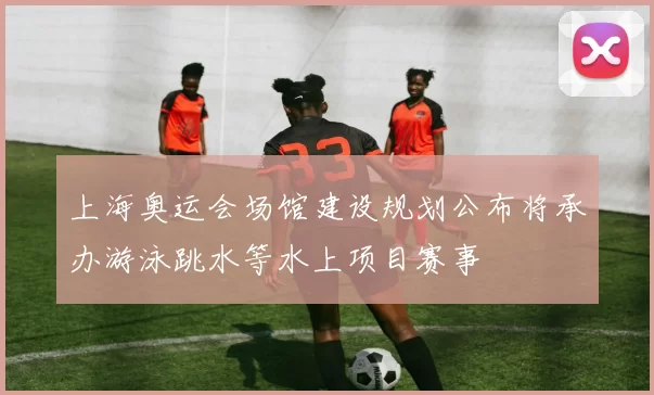上海奥运会场馆建设规划公布将承办游泳跳水等水上项目赛事