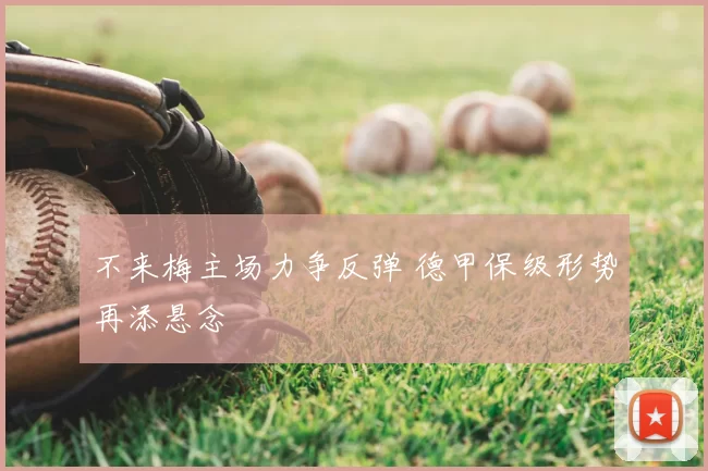不来梅主场力争反弹 德甲保级形势再添悬念