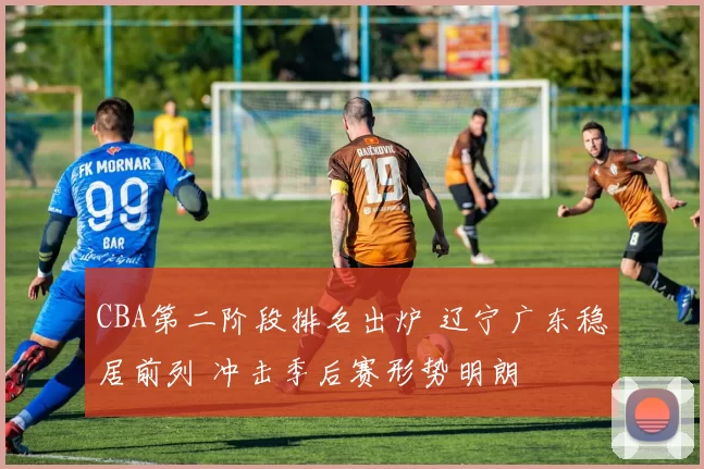 CBA第二阶段排名出炉 辽宁广东稳居前列 冲击季后赛形势明朗